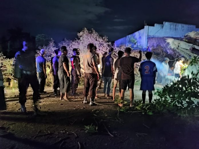 Keterangan foto: Pohon tumbang di jalan Yos Sudarso Lembar (dok.istimewa)