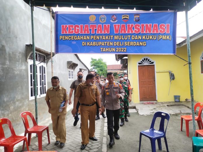 Keterangan foto: Kapolresta Deli Serdang Tinjau Langsung Vaksinasi Hewan (dok.istimewa)