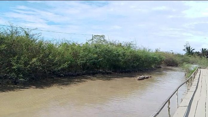 jalan utama yang menghubungkan Kecamatan Waelata dengan Kecamatan Teluk Kayeli di Kabupaten Buru kini bak kubangan raksasa. Jalan sepanjang 17 kilometer dari Desa Debowae ini rusak parah dan nyaris tak bisa dilintasi.